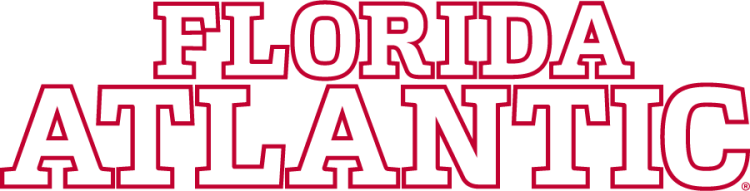 Florida Atlantic Owls 2024-Pres Wordmark Logo v3 diy iron on heat transfer